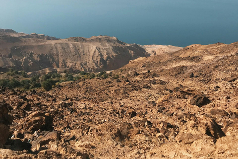 Vanuit Amman :Dode zee, de berg Nebo en de kerk van St. George .Alles inclusief