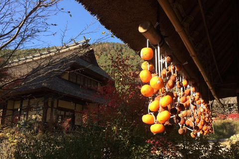 Tokyo: Mt Fuji&Chureito Pagoda&Lake Kawaguchi&Oshino Hakkai Free Karaage Chicken Set | 8AM Tokyo Station Departure