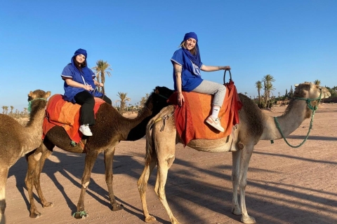 Marrakech : randonnée à cheval, excursion d'une journée dans les montagnes de l'Atlas et les chutes d'eauMarrakech:hors ride ;atlas montagnes & cascade ;dqy trip