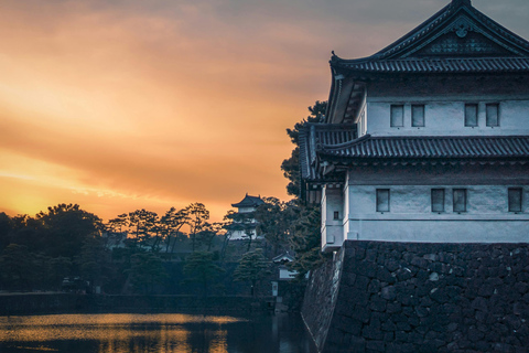 Visite personnalisable de Tokyo avec chauffeur et transport personnel