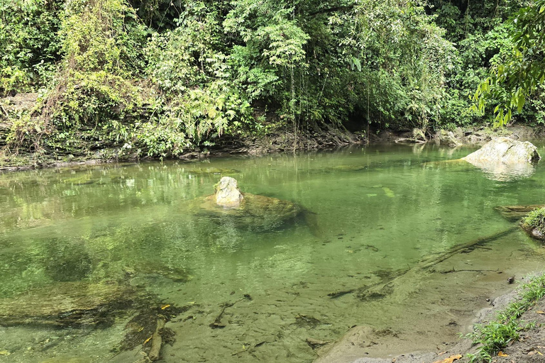 Cali: Tagesausflug zur Donau und zur Oase La Sirena. Ab CaliCali: Tagesausflug zur Donau und zur Oase der Meerjungfrau. Ab Cali