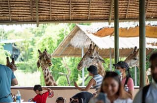 Bangkok Conservation Reserve & Marine Discovery Pass