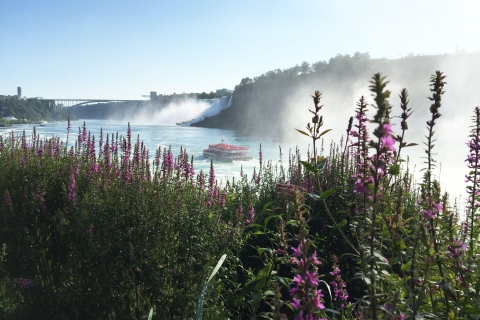 Au départ de Toronto : Excursion d'une journée aux chutes du Niagara avec croisière Hornblower