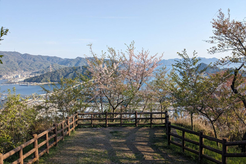 Hiroshima: Excursión en el Parque Conmemorativo de la Paz a la Isla de Miyajima