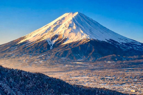 Tokyo: Mt Fuji Full-Day Private Tour of Top Best Places