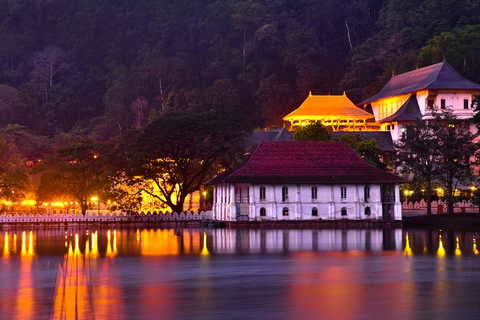 Kandy: Ambuluwawa Tower & City Highlights Tuk Tuk Tour