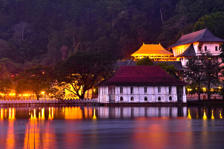 Kandy: Ambuluwawa Tower & City Highlights Tuk Tuk Tour