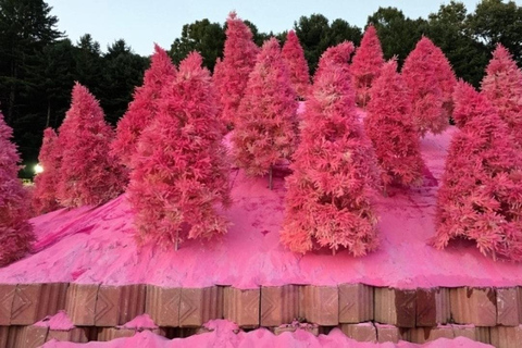 From Seoul: Full-Day Trip to Pocheon`s Nature Attractions Meeting Point: Hongik Univ. Station Exit No.8