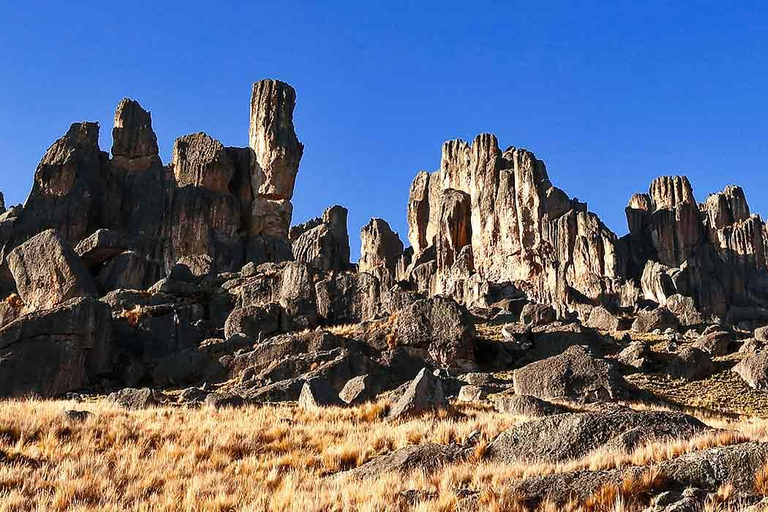 Arequipa: Pillones Waterfall and Stone Forest Day Trip