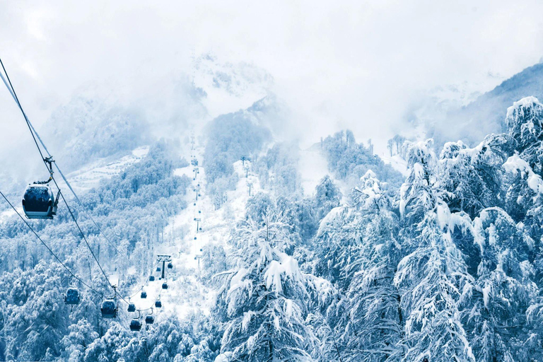 From Tbilisi: Borjomi and Bakuriani Ski Resort Private Tour