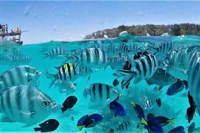 Vanuit Zanzibar Mnemba Eiland-Snorkelen Dagtour met Lunch