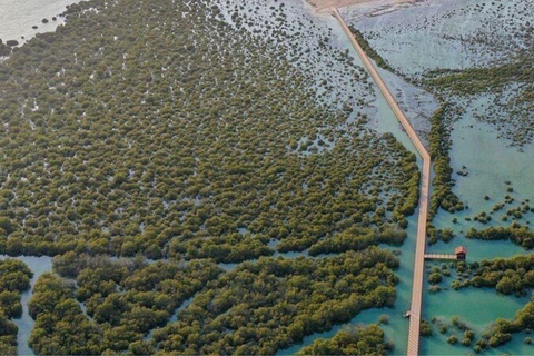 Doha: Full Day Desert Safari & North Qatar Tour with Inland Doha: Group Tour with Hotel Pick up & drop off