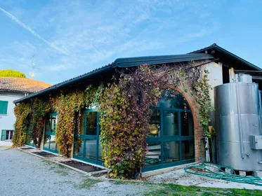 Weinverkostung in Terre Rosse Vallania: Geschichte, Natur, Tradition.