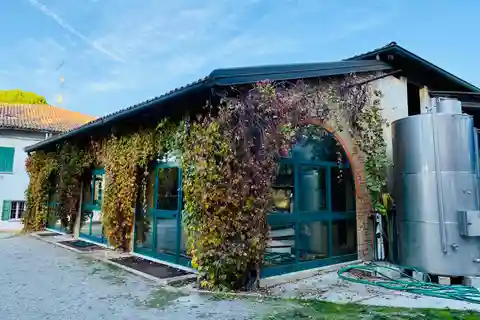 Prova de vinhos em Terre Rosse Vallania: História, Natureza, Tradição.