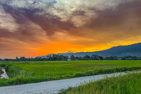 Langkawi Quad Hilltop Golden HourL&#039;heure d&#039;or du quad sur la colline de Langkawi