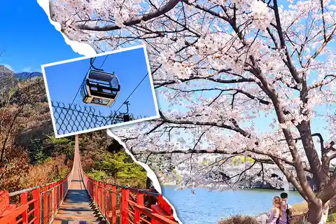 Seul: DMZ 3º Túnel & DMZ Gôndola & Ponte Suspensa