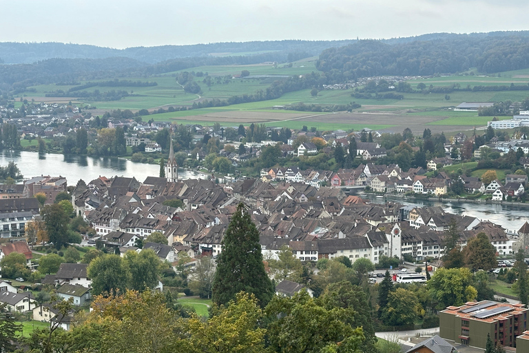 From Zurich: Private Tour to Rheinfalls and Stein am Rhein