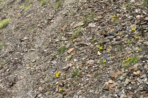 Trekking Expedition from Tusheti to Khevsureti with locals