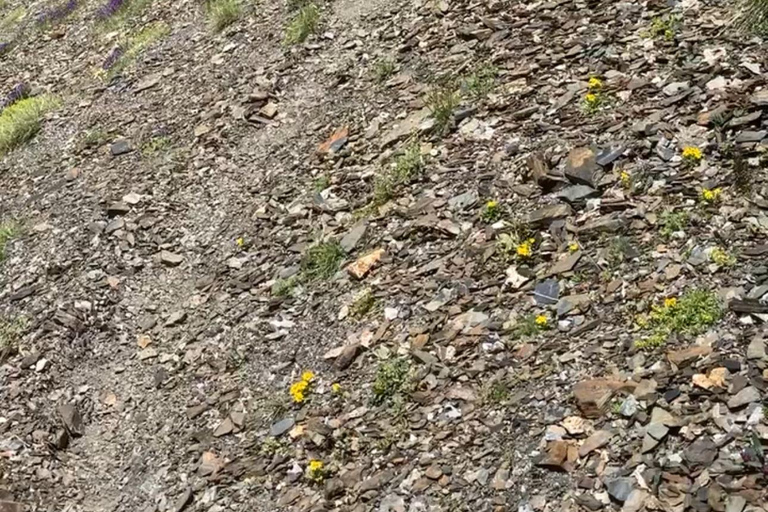 Trekking Expedition from Tusheti to Khevsureti with locals