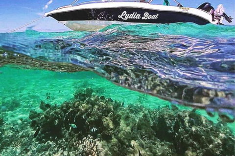 Excursión privada en barco: Día completo/Avistaje de delfines y baño+ Barbacoa