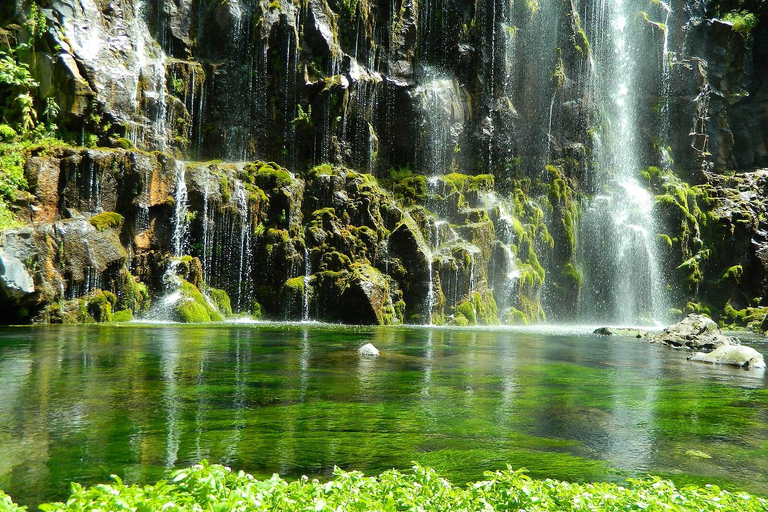 Algeti Lake,Asureti, and Diamond Bridge INCLUDE ENTRANCE!