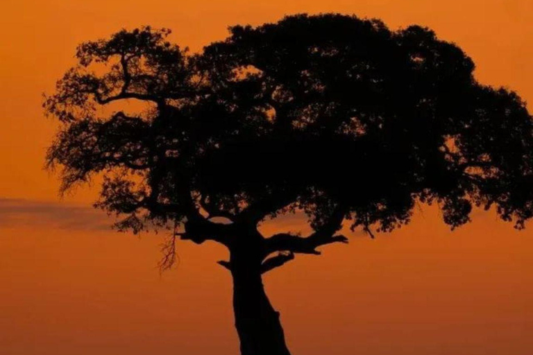 Nairobi National Park Evening Game Drive & sundowner Nairobi National Park Evening Game Drive & sundowner - VAN