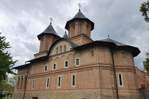 From Bucharest: Vlad the Impaler Royal Court Private Tour