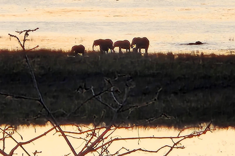 Unique Chobe Day Trip with 2 River Safaris