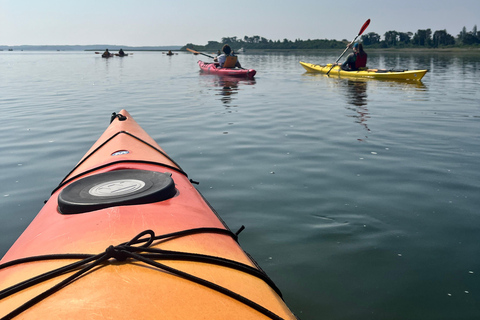 From Boston: Guided Kayak Adventure at the Crane Estate