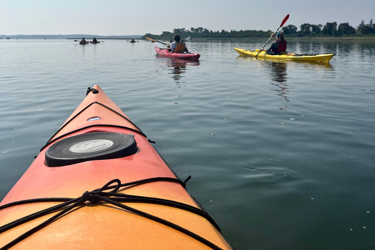 From Boston: Guided Kayak Adventure at the Crane Estate