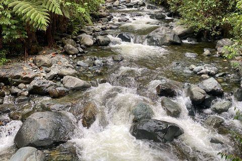 Farallones de Cali: Halbtägige Pance-Wanderung und Fluss