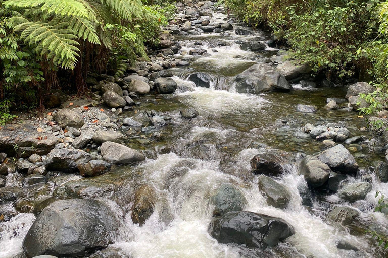 Farallones de Cali: Medio día de excursión por el Pance y el río