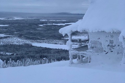 Levi: Snöskovandring: Tomtens stuga och picknick i natursköna omgivningar