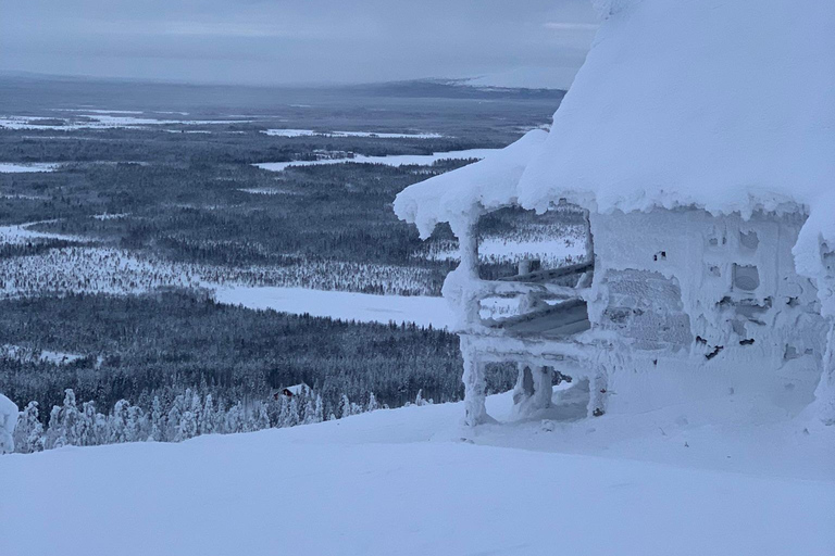 Levi: Snöskovandring: Tomtens stuga och picknick i natursköna omgivningar