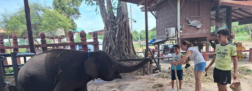 À Ayutthaya : Service de guide touristique avec une visite locale authentique