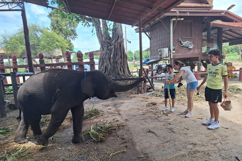 Private tour guide in Ayutthaya