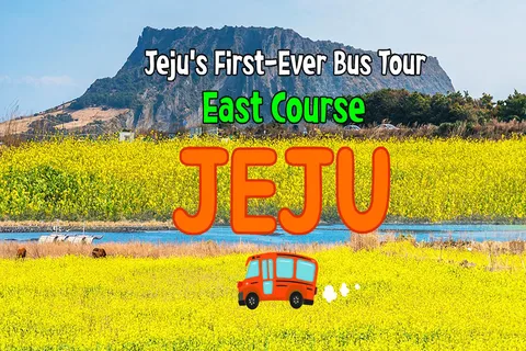 Jeju Island: Full-Day East Jeju Bus Tour with Entry Fees