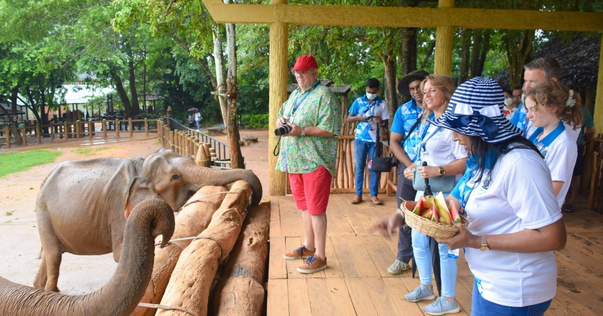 Giraffe Center, Elephant Orphanage and Carnivore Lunch Tour | GetYourGuide