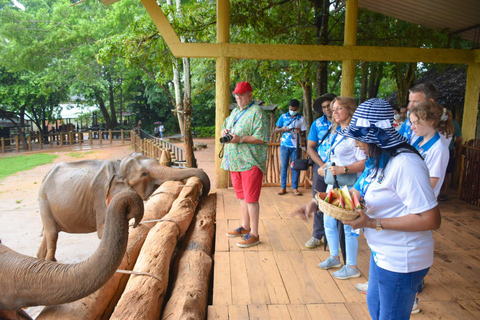 Von Colombo aus: Kandy und Pinnawala Tagestour