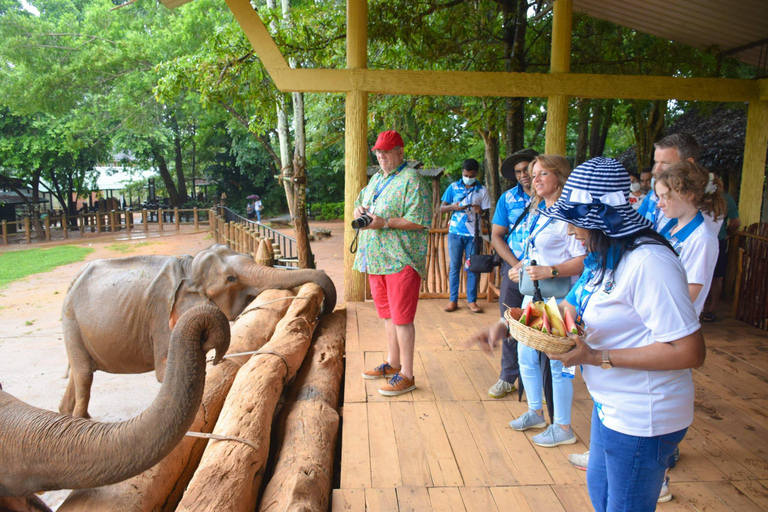 Von Colombo aus: Kandy und Pinnawala Tagestour