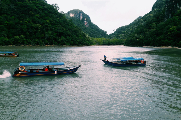 Night Safari Mangrove Tour with Guide & BBQ Buffet