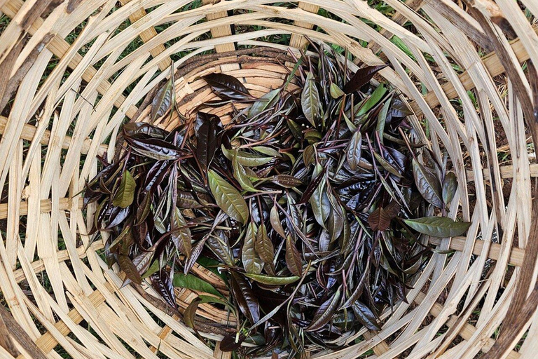 Nairobi:Gatura Greens Farm - Organic Farming & Culinary Tour