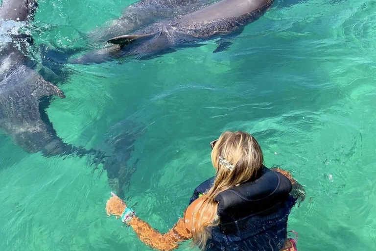 Cartagena: Rosario Oceanarium, Snorkel & Swim with Dolphins Cartagena: Rosario Islands Tour with Oceanarium & Snorkeling