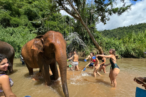 Chiang Mai: Santuário de elefantes, trilha dos monges e excursão a Doi SuthepPonto de encontro