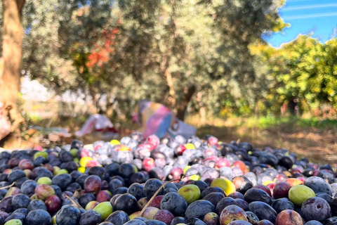 Kusadası: Countryside Tour with Lunch and Drinks