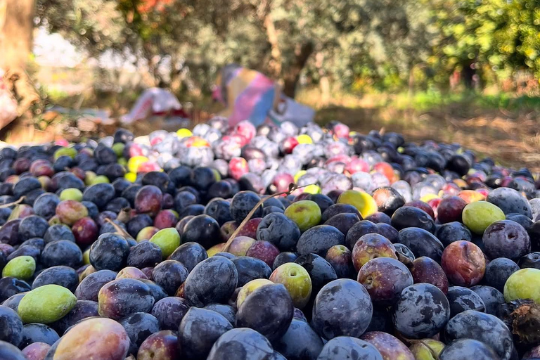 Kusadası: Countryside Tour with Lunch and Drinks