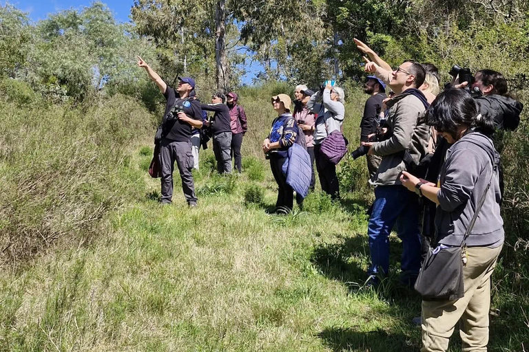 Birdwatching trip to the Uruguayan wetlands Birdwatching trip to the Uruguay Wetlands