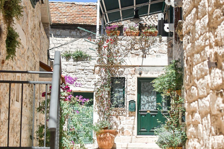 Split: City Sightseeing Hop-On Hop-Off Bus Tour & Extras 24-Hour Ticket