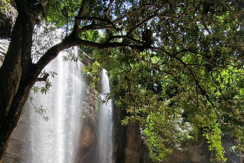 Diani/ Mombasa: Private Shimba Hills Day Safari