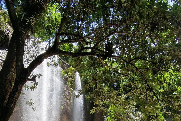 Diani/ Mombasa: Private Shimba Hills Day Safari